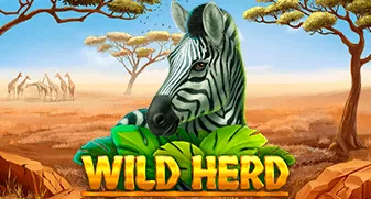 Wild Herd